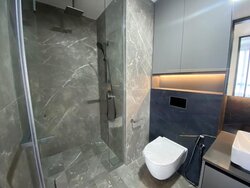 Irwell Hill Residences (D9), Apartment #456574661